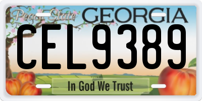 GA license plate CEL9389