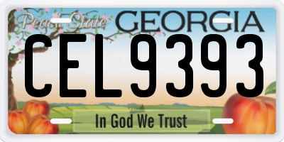 GA license plate CEL9393