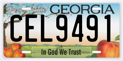 GA license plate CEL9491
