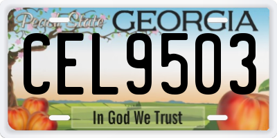 GA license plate CEL9503