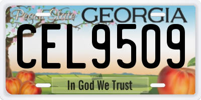 GA license plate CEL9509