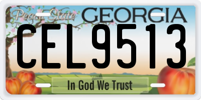 GA license plate CEL9513