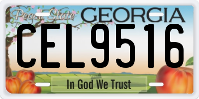 GA license plate CEL9516