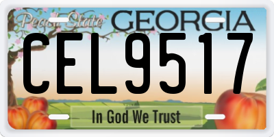 GA license plate CEL9517