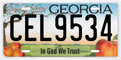 GA license plate CEL9534