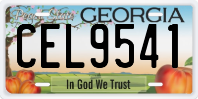 GA license plate CEL9541