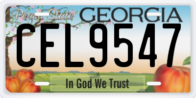 GA license plate CEL9547