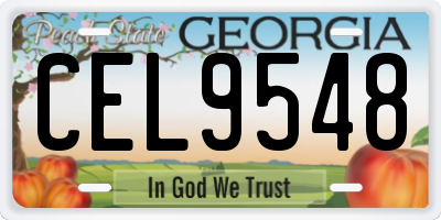GA license plate CEL9548