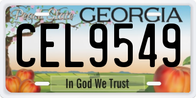 GA license plate CEL9549