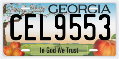 GA license plate CEL9553