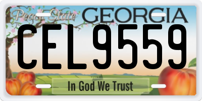 GA license plate CEL9559