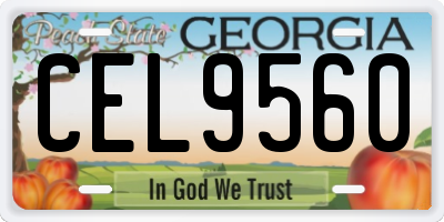 GA license plate CEL9560