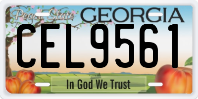 GA license plate CEL9561