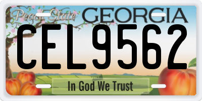 GA license plate CEL9562