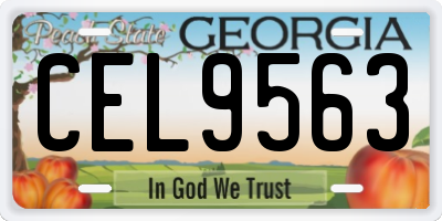 GA license plate CEL9563