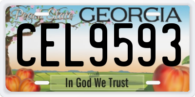 GA license plate CEL9593