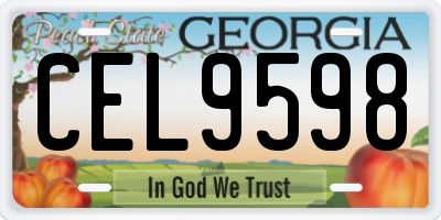 GA license plate CEL9598