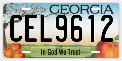 GA license plate CEL9612