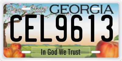 GA license plate CEL9613