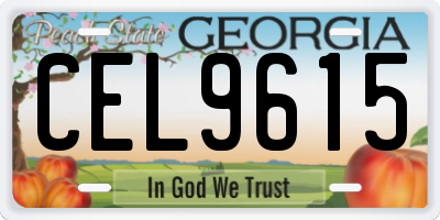 GA license plate CEL9615