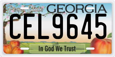 GA license plate CEL9645
