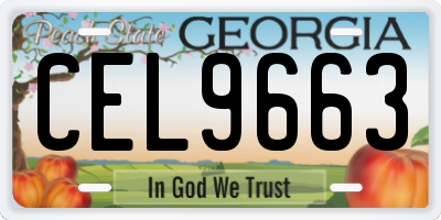 GA license plate CEL9663