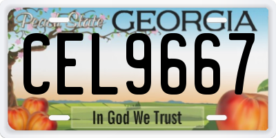 GA license plate CEL9667