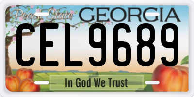 GA license plate CEL9689