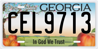 GA license plate CEL9713