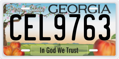 GA license plate CEL9763