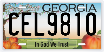 GA license plate CEL9810