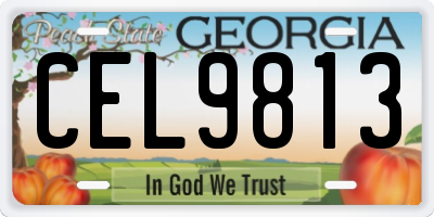 GA license plate CEL9813