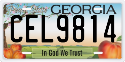 GA license plate CEL9814
