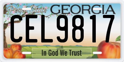 GA license plate CEL9817