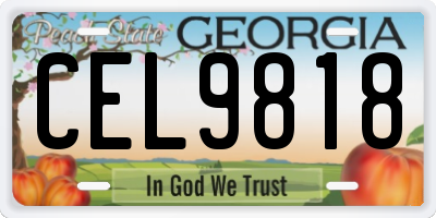 GA license plate CEL9818
