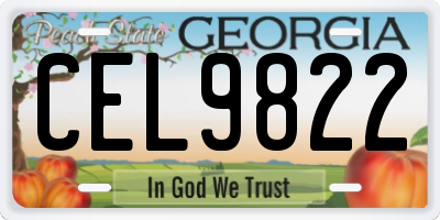 GA license plate CEL9822