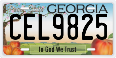 GA license plate CEL9825