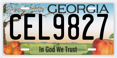GA license plate CEL9827