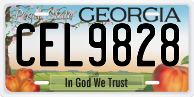 GA license plate CEL9828