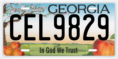 GA license plate CEL9829