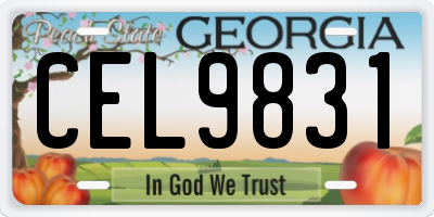 GA license plate CEL9831