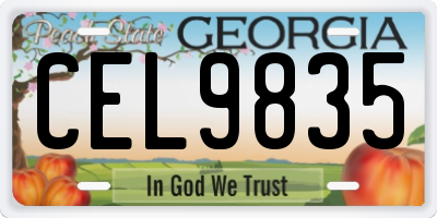GA license plate CEL9835