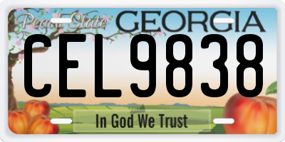GA license plate CEL9838