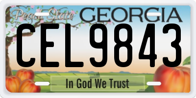 GA license plate CEL9843