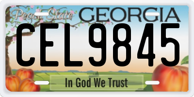 GA license plate CEL9845