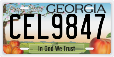GA license plate CEL9847