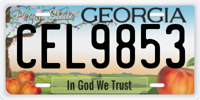 GA license plate CEL9853