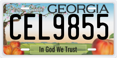 GA license plate CEL9855