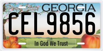 GA license plate CEL9856