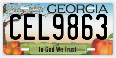 GA license plate CEL9863